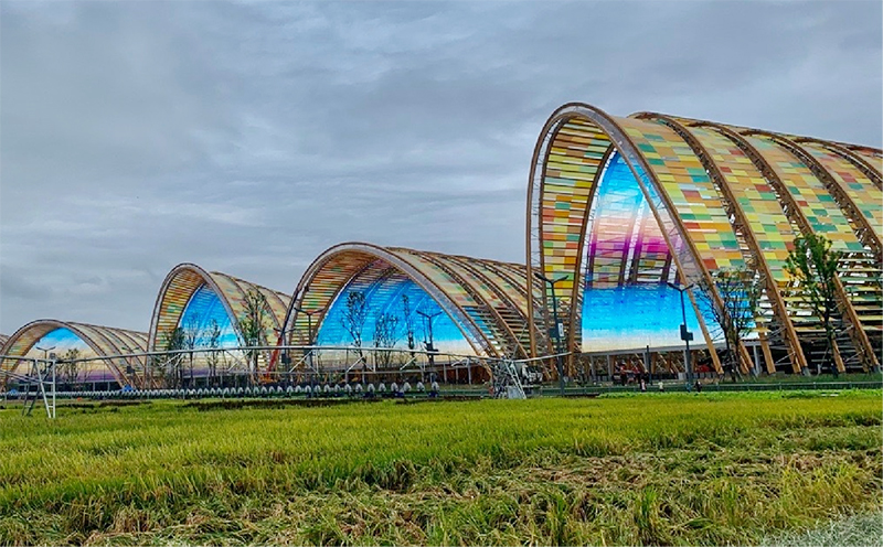 鉴黑担保网(jhdbw)·最具权威唯一维权担保平台